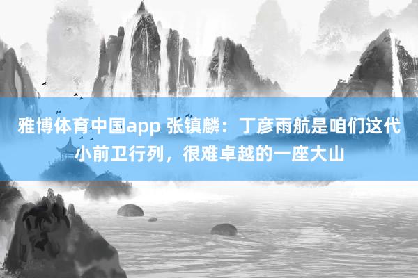 雅博体育中国app 张镇麟：丁彦雨航是咱们这代小前卫行列，很难卓越的一座大山
