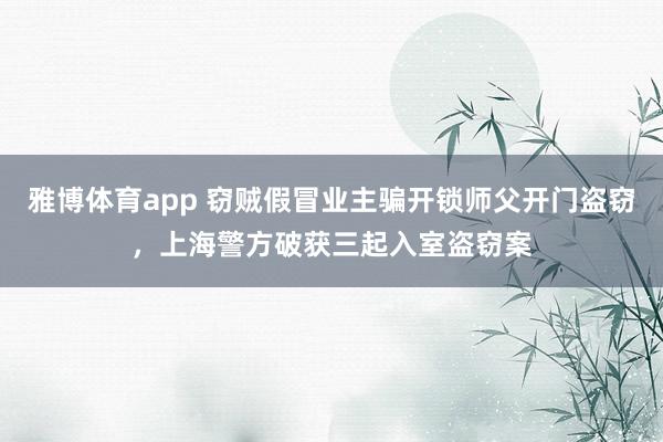 雅博体育app 窃贼假冒业主骗开锁师父开门盗窃，上海警方破获三起入室盗窃案