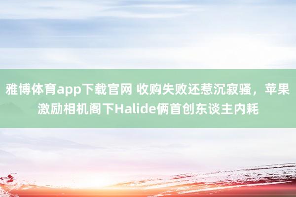 雅博体育app下载官网 收购失败还惹沉寂骚，苹果激励相机阁下Halide俩首创东谈主内耗