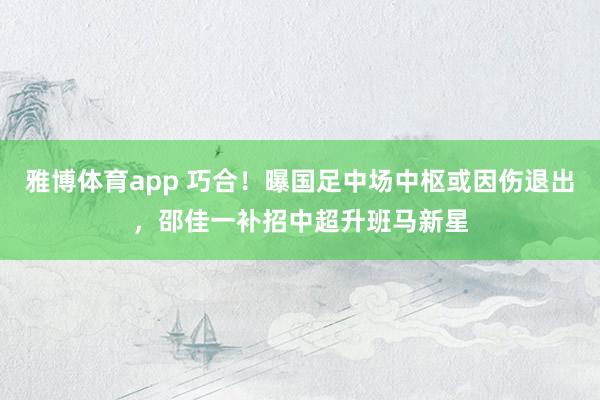 雅博体育app 巧合！曝国足中场中枢或因伤退出，邵佳一补招中超升班马新星