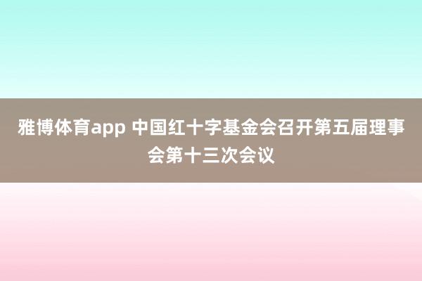 雅博体育app 中国红十字基金会召开第五届理事会第十三次会议