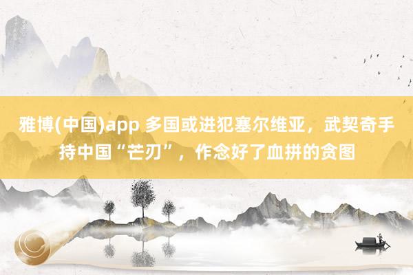 雅博(中国)app 多国或进犯塞尔维亚，武契奇手持中国“芒刃”，作念好了血拼的贪图