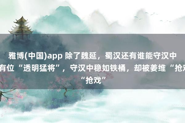 雅博(中国)app 除了魏延，蜀汉还有谁能守汉中？有位 “透明猛将”，守汉中稳如铁桶，却被姜维 “抢戏”