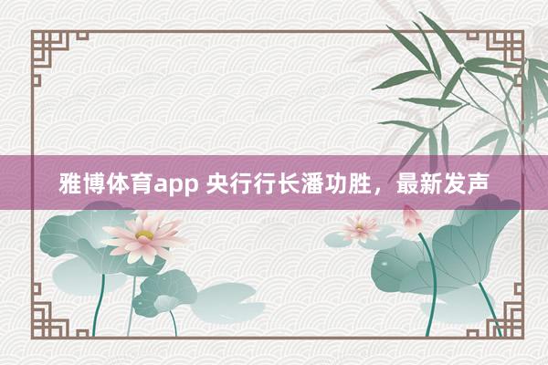 雅博体育app 央行行长潘功胜，最新发声