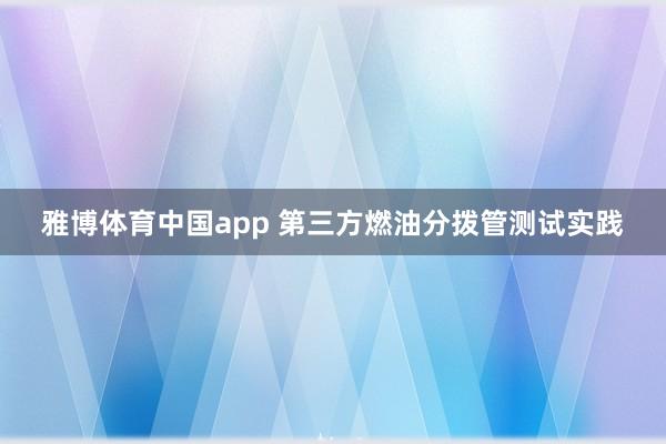 雅博体育中国app 第三方燃油分拨管测试实践