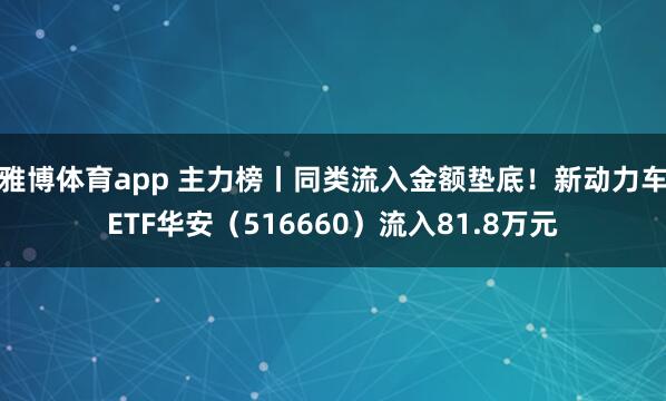 雅博体育app 主力榜丨同类流入金额垫底！新动力车ETF华安（516660）流入81.8万元