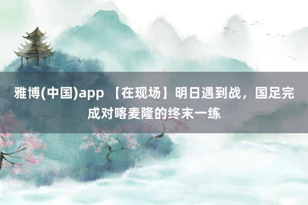 雅博(中国)app 【在现场】明日遇到战，国足完成对喀麦隆的终末一练