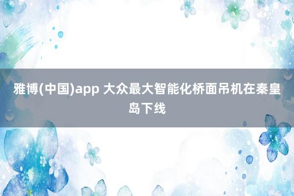 雅博(中国)app 大众最大智能化桥面吊机在秦皇岛下线