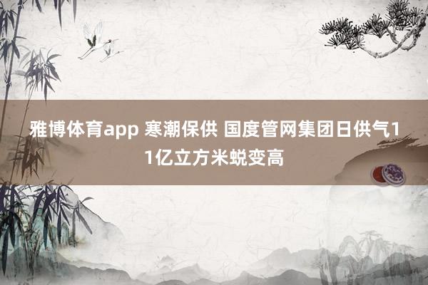 雅博体育app 寒潮保供 国度管网集团日供气11亿立方米蜕变高