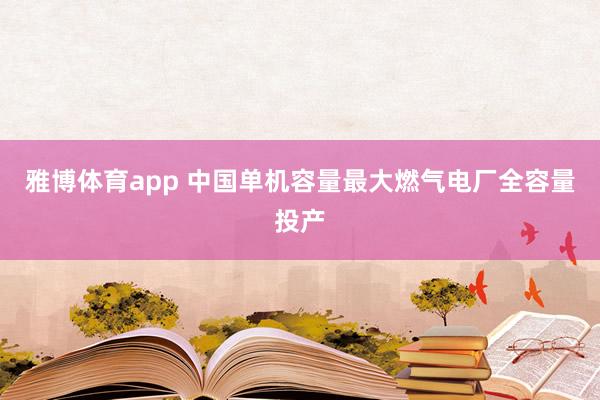 雅博体育app 中国单机容量最大燃气电厂全容量投产