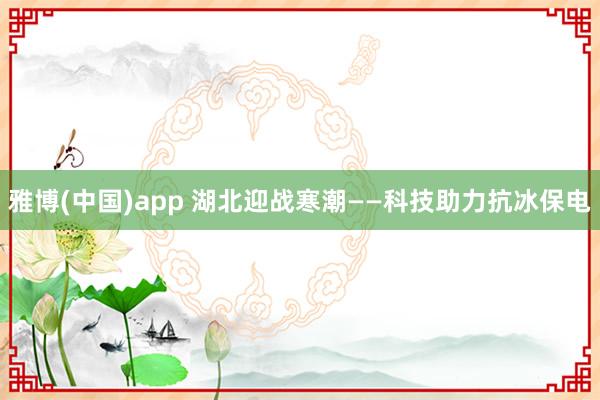 雅博(中国)app 湖北迎战寒潮——科技助力抗冰保电