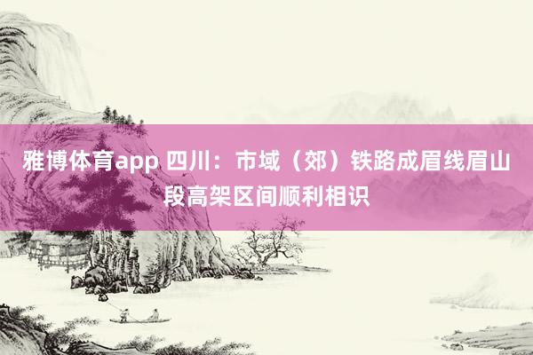 雅博体育app 四川：市域（郊）铁路成眉线眉山段高架区间顺利相识