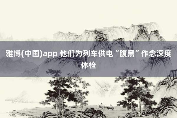 雅博(中国)app 他们为列车供电“腹黑”作念深度体检