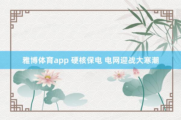雅博体育app 硬核保电 电网迎战大寒潮