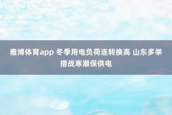 雅博体育app 冬季用电负荷连转换高 山东多举措战寒潮保供电