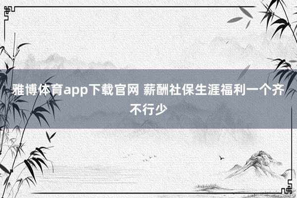 雅博体育app下载官网 薪酬社保生涯福利一个齐不行少