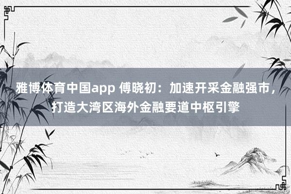 雅博体育中国app 傅晓初：加速开采金融强市，打造大湾区海外金融要道中枢引擎