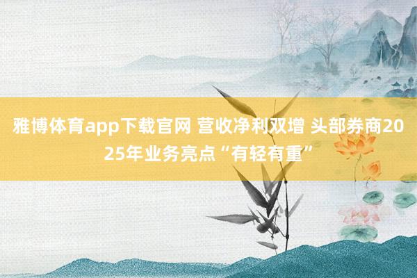 雅博体育app下载官网 营收净利双增 头部券商2025年业务亮点“有轻有重”