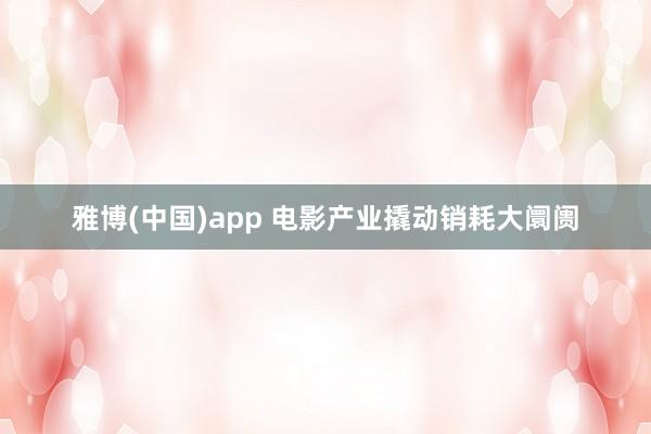雅博(中国)app 电影产业撬动销耗大阛阓