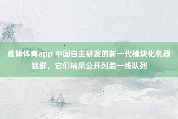 雅博体育app 中国自主研发的新一代模块化机器狼群，它们精采公开列装一线队列