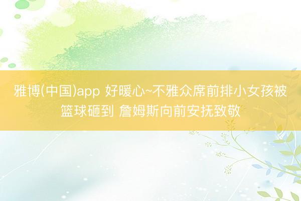 雅博(中国)app 好暖心~不雅众席前排小女孩被篮球砸到 詹姆斯向前安抚致敬