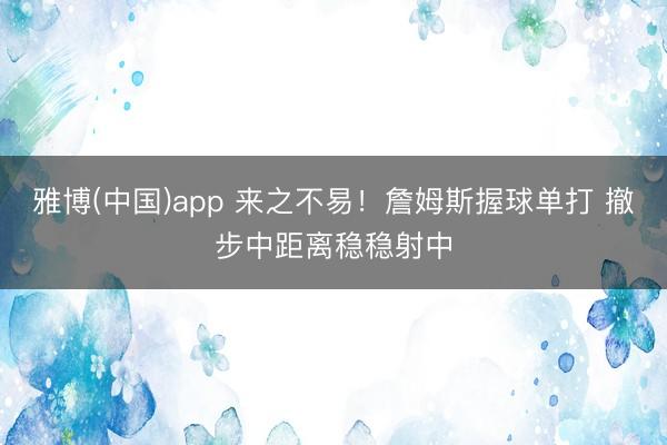 雅博(中国)app 来之不易！詹姆斯握球单打 撤步中距离稳稳射中