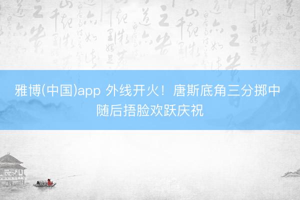雅博(中国)app 外线开火！唐斯底角三分掷中 随后捂脸欢跃庆祝
