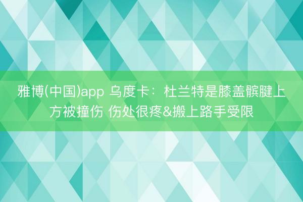 雅博(中国)app 乌度卡：杜兰特是膝盖髌腱上方被撞伤 伤处很疼&搬上路手受限