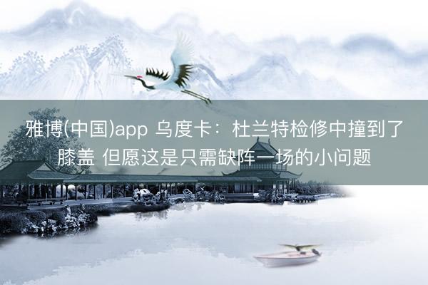 雅博(中国)app 乌度卡：杜兰特检修中撞到了膝盖 但愿这是只需缺阵一场的小问题