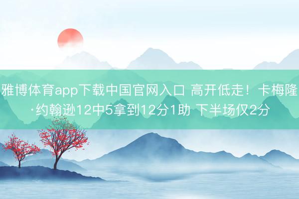 雅博体育app下载中国官网入口 高开低走！卡梅隆·约翰逊12中5拿到12分1助 下半场仅2分