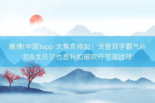 雅博(中国)app 太焦炙修起！戈登双手霸气补扣&戈贝尔也思补扣被吹环节滋扰球