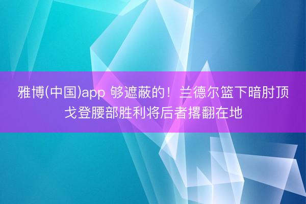 雅博(中国)app 够遮蔽的！兰德尔篮下暗肘顶戈登腰部胜利将后者撂翻在地