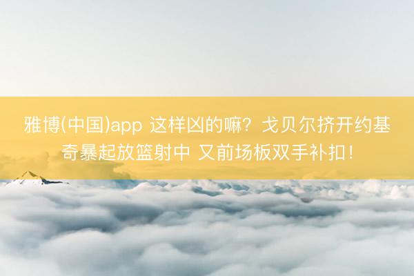雅博(中国)app 这样凶的嘛？戈贝尔挤开约基奇暴起放篮射中 又前场板双手补扣！