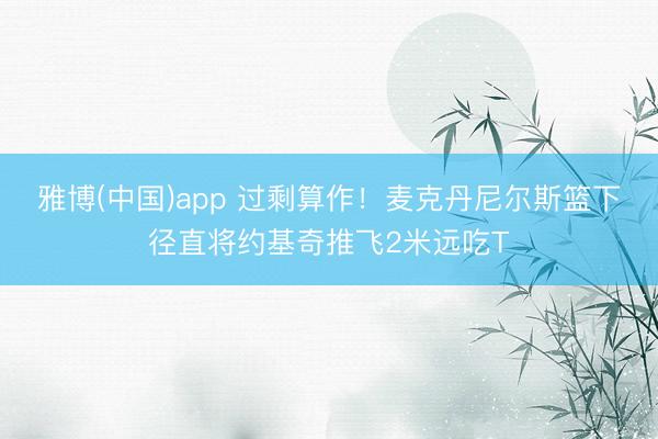雅博(中国)app 过剩算作！麦克丹尼尔斯篮下径直将约基奇推飞2米远吃T