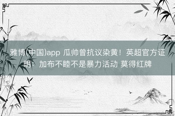 雅博(中国)app 瓜帅曾抗议染黄！英超官方证明：加布不睦不是暴力活动 莫得红牌