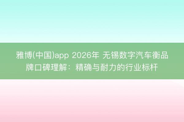 雅博(中国)app 2026年 无锡数字汽车衡品牌口碑理解：精确与耐力的行业标杆