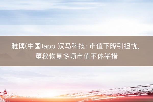 雅博(中国)app 汉马科技: 市值下降引担忧， 董秘恢复多项市值不休举措
