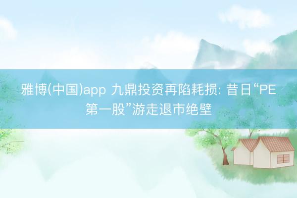 雅博(中国)app 九鼎投资再陷耗损: 昔日“PE第一股”游走退市绝壁