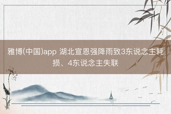 雅博(中国)app 湖北宣恩强降雨致3东说念主耗损、4东说念主失联