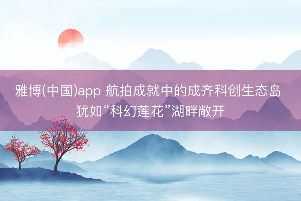 雅博(中国)app 航拍成就中的成齐科创生态岛 犹如“科幻莲花”湖畔敞开